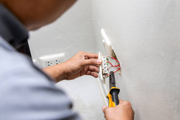 Best Electric Panel Repair  in Lake Lifornia, CA